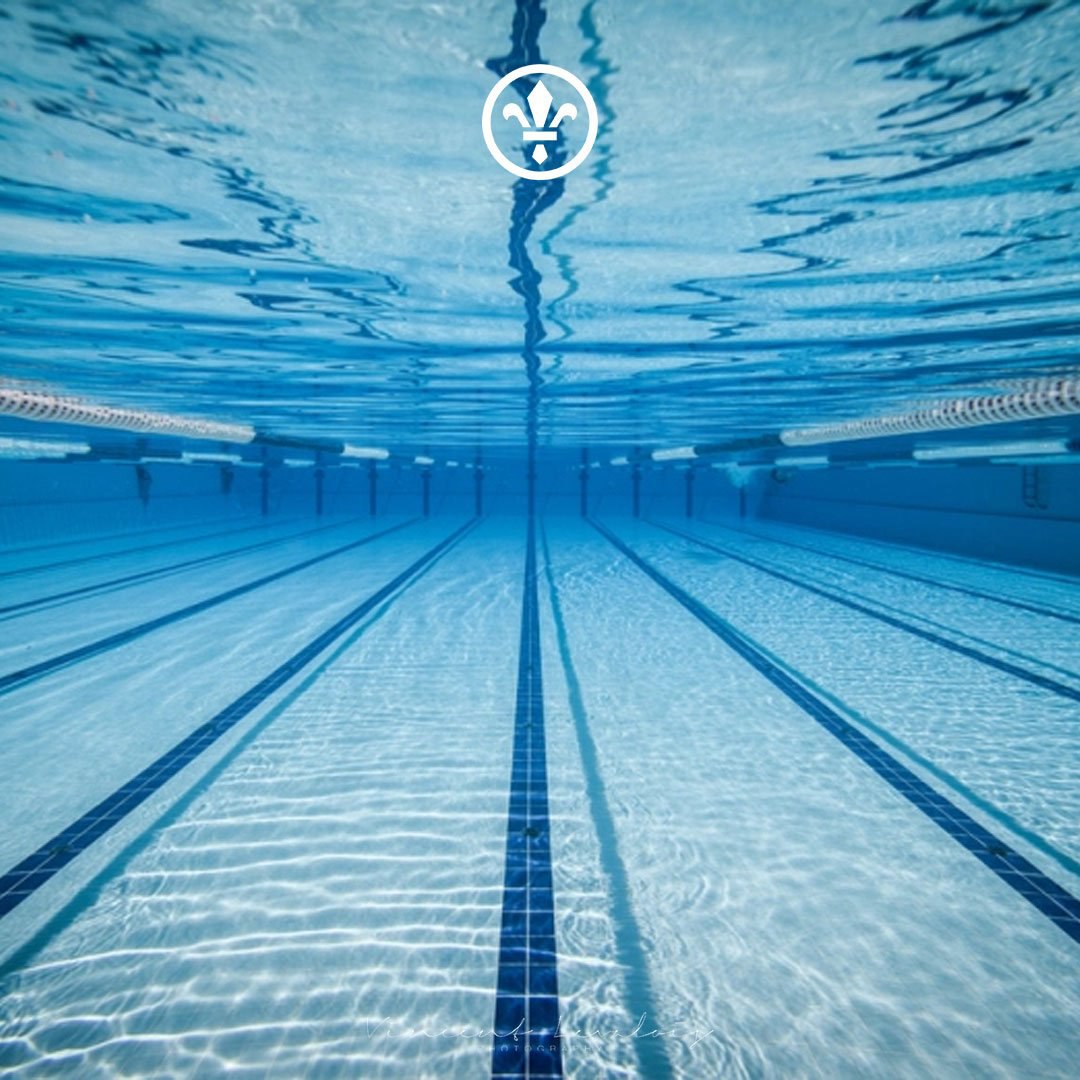 New-Pool-Blog