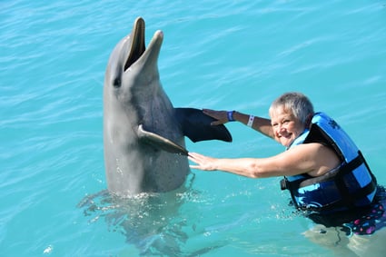 comp_Caron.Dolphins