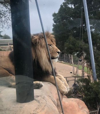 Santa Barbara Zoo 5
