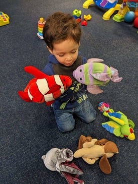 comp_IMG-1289 (1)