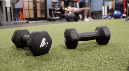 dumbells