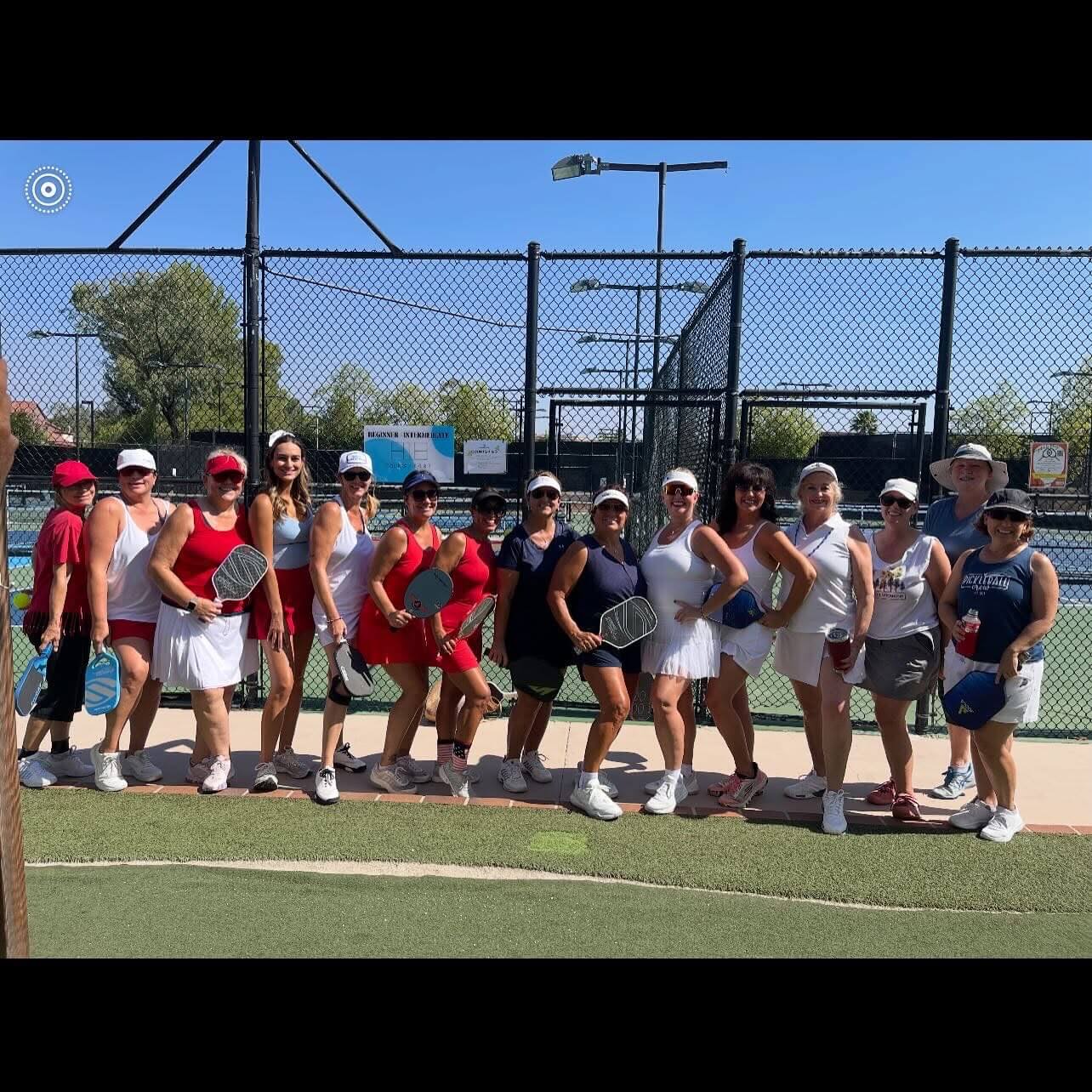 group photos of pickleball players